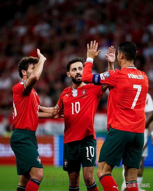 本届世界杯葡萄牙C罗比赛解读深度解读